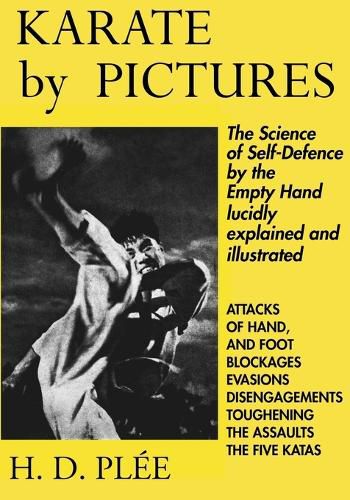 Cover image for Karate by Pictures