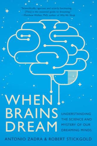 Cover image for When Brains Dream: Understanding the Science and Mystery of Our Dreaming Minds