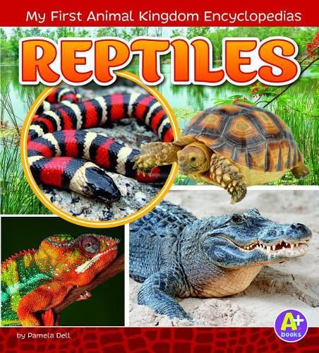 Reptiles (My First Animal Kingdom Encyclopedias)