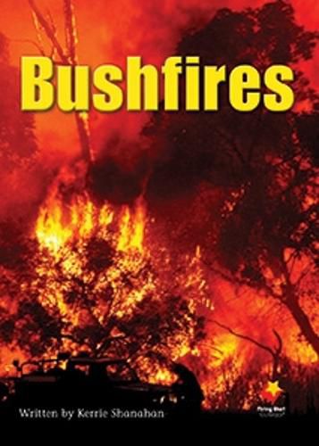 Cover image for Bushfires