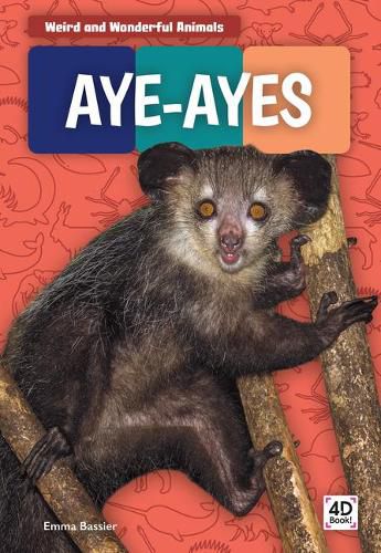 Aye-Ayes