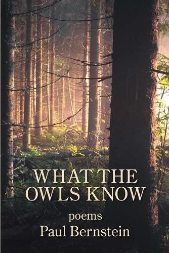 Cover image for What the Owls Know