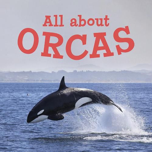 All about Orcas: English Edition