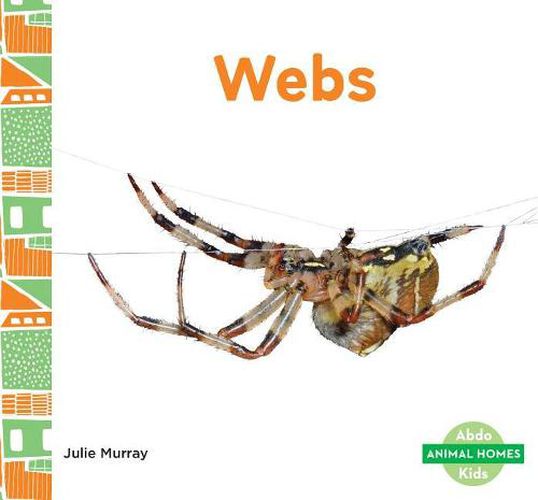 Cover image for Webs