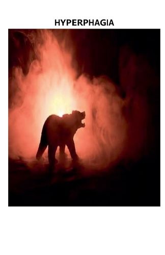 Cover image for Hyperphagia