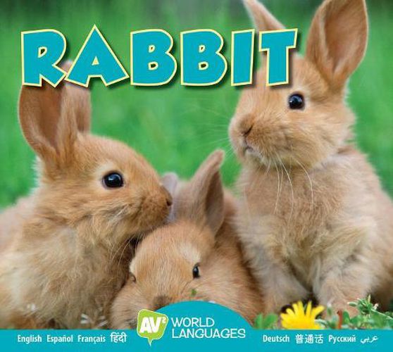 Cover image for Rabbit