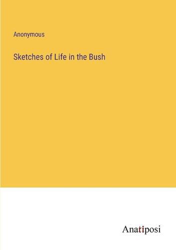 Cover image for Sketches of Life in the Bush