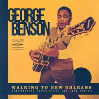 Cover image for Walking to New Orleans