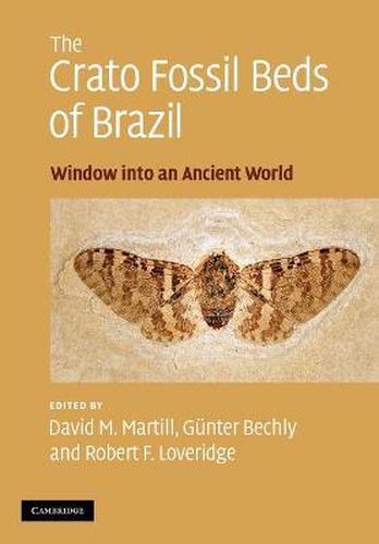 Cover image for The Crato Fossil Beds of Brazil: Window into an Ancient World