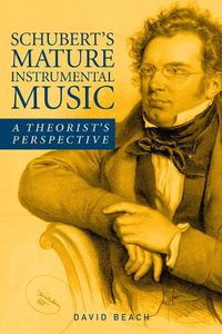 Cover image for Schubert's Mature Instrumental Music: A Theorist's Perspective