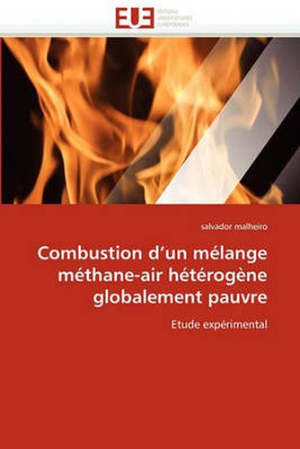 Cover image for Combustion D'Un Melange Methane-Air Heterogene Globalement Pauvre