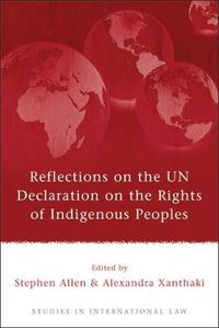 Cover image for Reflections on the UN Declaration on the Rights of Indigenous Peoples
