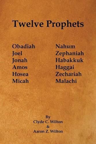 Cover image for Twelve Prophets