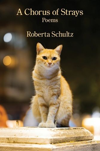 Cover image for A Chorus of Strays