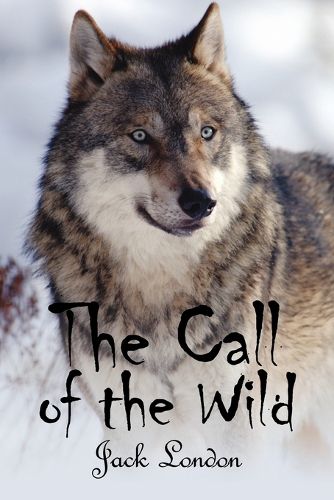 Cover image for The Call of the Wild