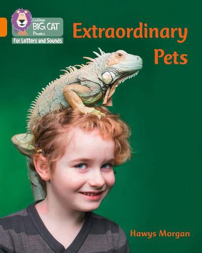 Extraordinary Pets: Band 06/Orange