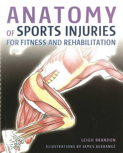 Cover image for Anatomy of Sports Injuries