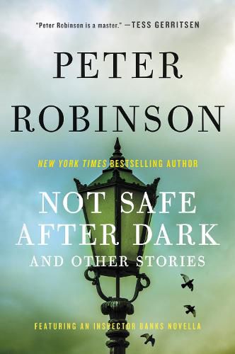 Cover image for Not Safe After Dark: And Other Stories