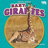 Cover image for Baby Giraffes