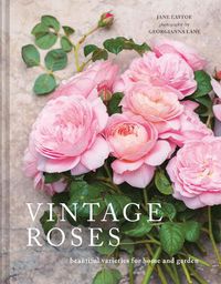 Cover image for Vintage Roses: Beautiful varieties for home and garden