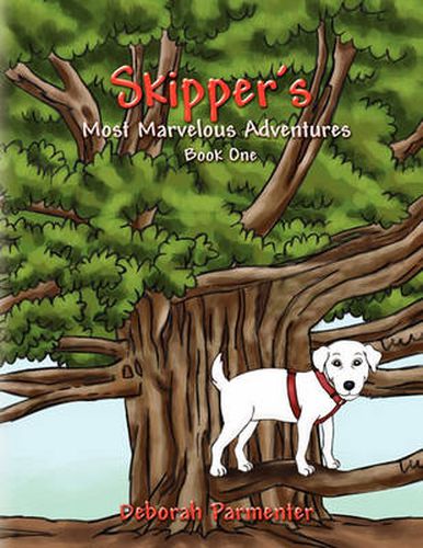Cover image for Skipper's Most Marvelous Adventures Book One