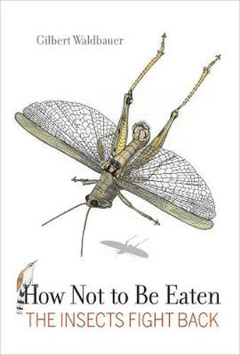 Cover image for How Not to Be Eaten: The Insects Fight Back