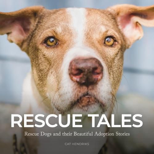 Cover image for Rescue Tales