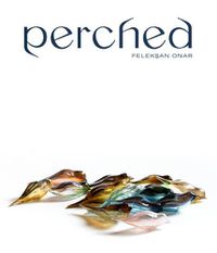 Cover image for Perched: FeleksAn Onar