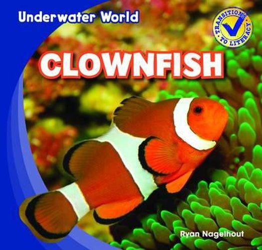 Clownfish