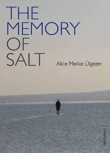 Memory Of Salt