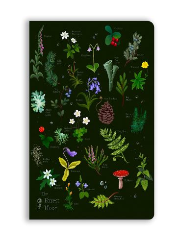 Cover image for Anna Stead: The Forest Floor (Soft Touch Journal)