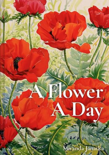 Cover image for A Flower A Day