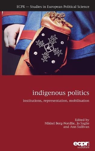 Cover image for Indigenous Politics: Institutions, Representation, Mobilisation