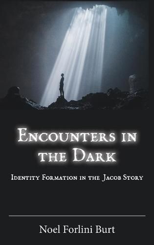 Cover image for Encounters in the Dark: Identity Formation in the Jacob Story