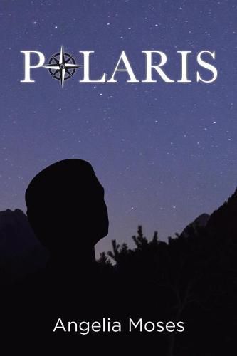 Cover image for Polaris