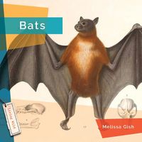 Cover image for Bats