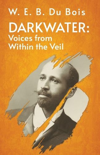 Cover image for Darkwater Voices From Within The Veil