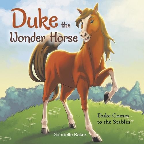 Cover image for Duke the Wonder Horse