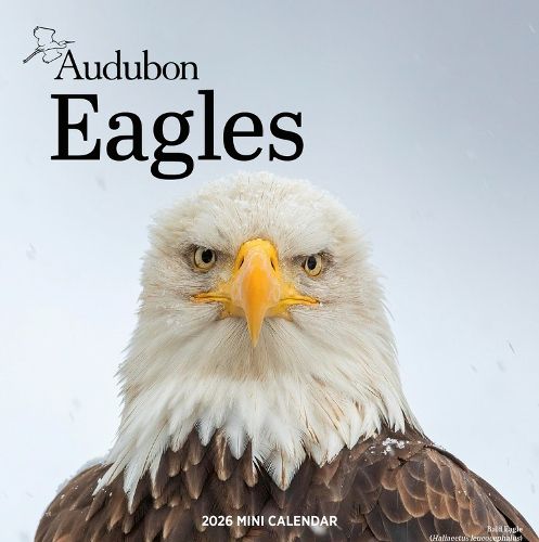 Cover image for Audubon Eagles Mini Wall Calendar 2026