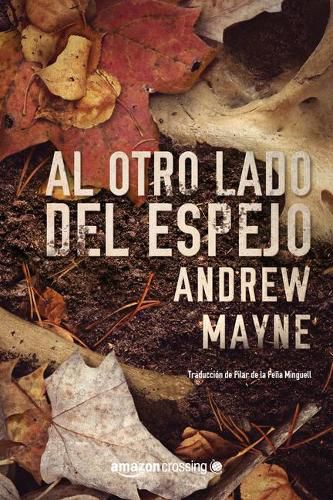 Cover image for Al otro lado del espejo
