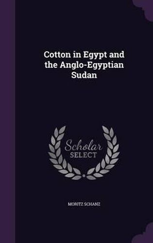 Cover image for Cotton in Egypt and the Anglo-Egyptian Sudan