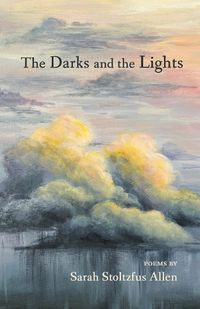 Cover image for The Darks and the Lights
