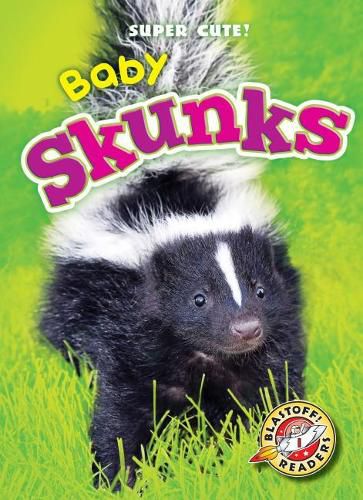 Cover image for Baby Skunks