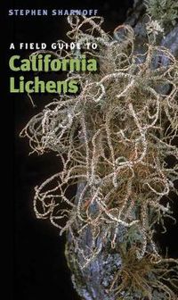 Cover image for A Field Guide to California Lichens