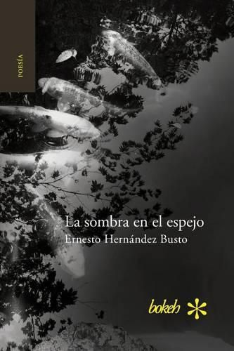 Cover image for La sombra en el espejo. Versiones japonesas