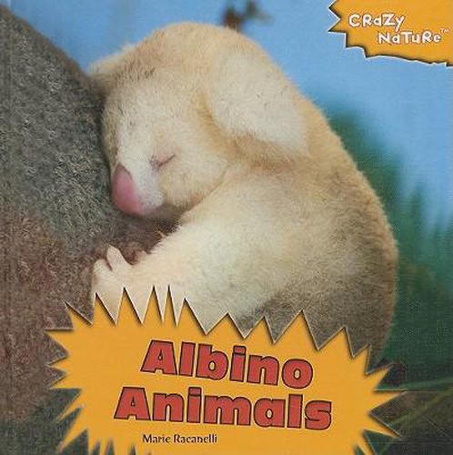 Cover image for Albino Animals