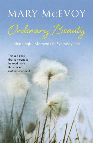 Cover image for Ordinary Beauty: Meaningful Moments in Everyday Life