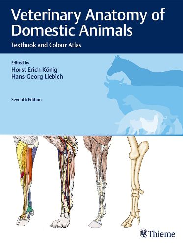 Cover image for Veterinary Anatomy of Domestic Animals: Textbook and Colour Atlas