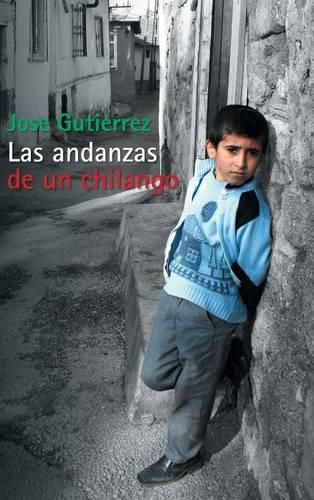 Cover image for Las Andanzas de Un Chilango