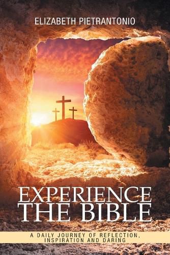 Cover image for Experience the Bible